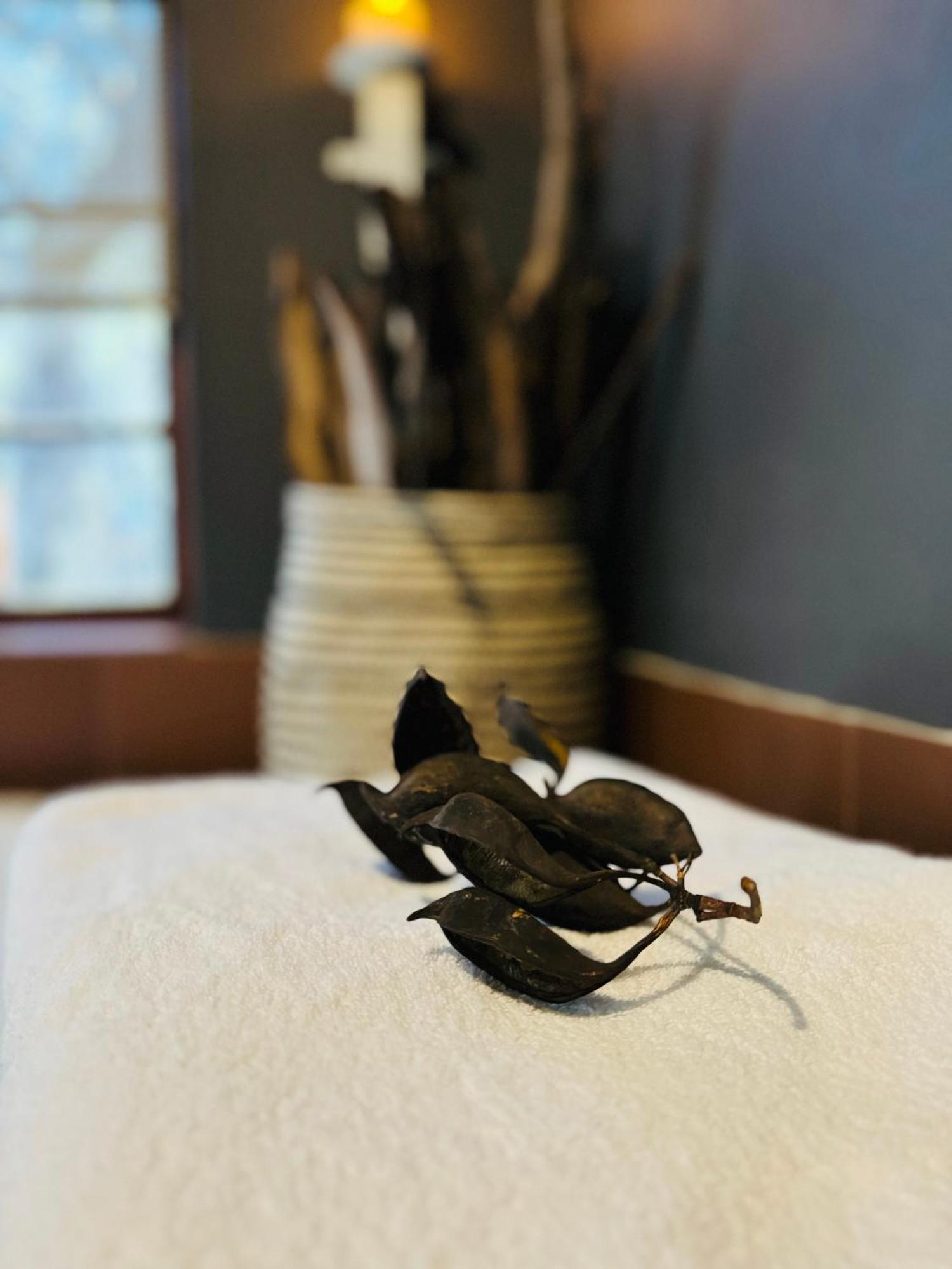 Megumi - Vaal Riverside Retreat - Loadshedding Friendly Parys Bagian luar foto