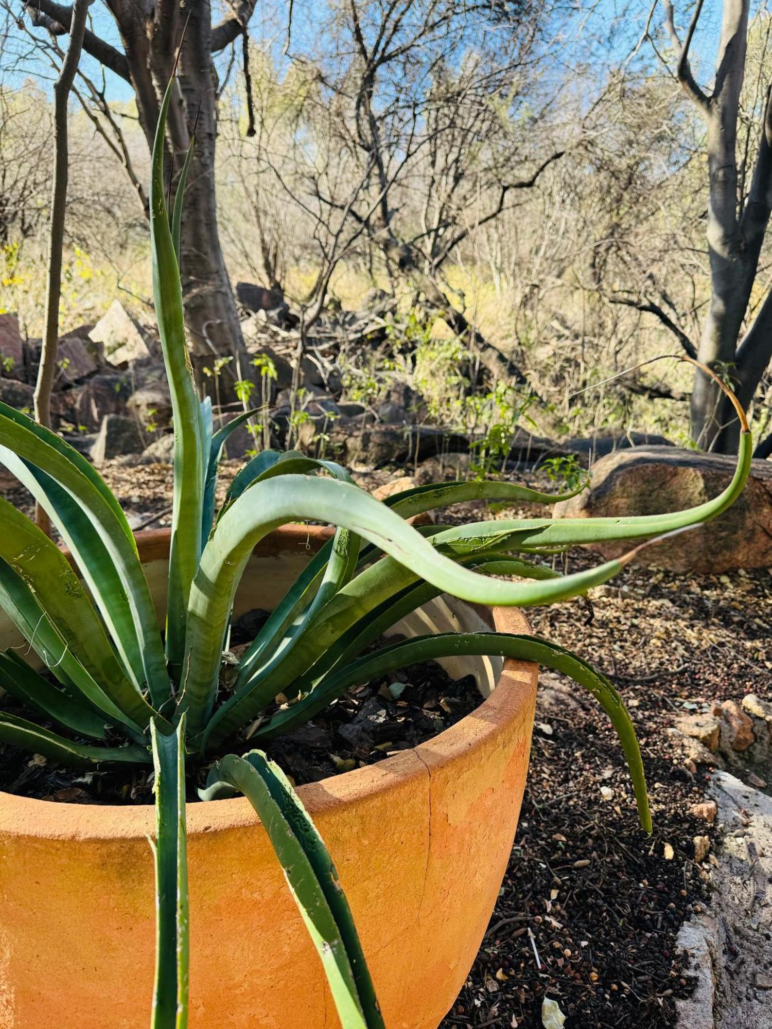 Megumi - Vaal Riverside Retreat - Loadshedding Friendly Parys Bagian luar foto